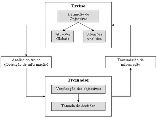 Figura 3: A observação em situações de treino (adaptado de Ortega &amp; Contreras, 2000) 