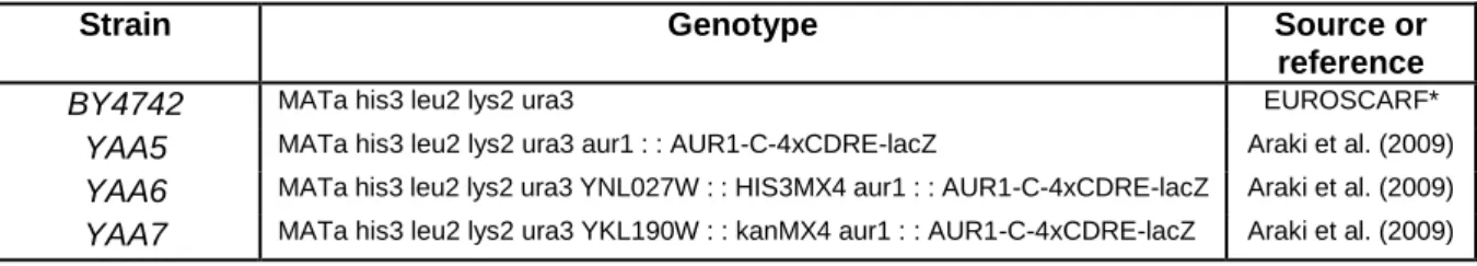 Table 3 - S. cerevisiae strains used in this work. (From, R. T. Ferreira et al., Microbiology 158, 2293 (2012))