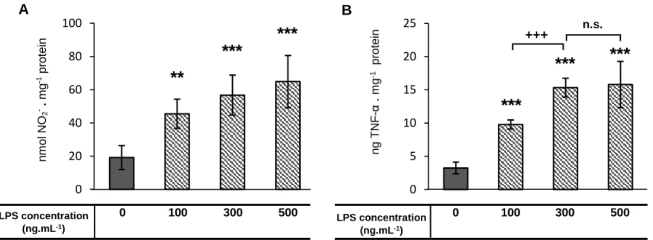 Figure 6 - Quantification of secreted nitrite measured by Griess reaction  (A); and secreted TNF-α measured by  quantitative ELISA (B)