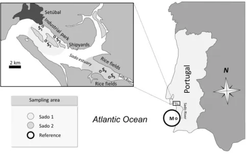 Fig. 2.1. Location of the three fish collection sites (Sado 1, Sado 2 and Reference). Sediment collection sites  of the Sado and Mira (Reference) estuaries, identified by S1−S5 and M, respectively