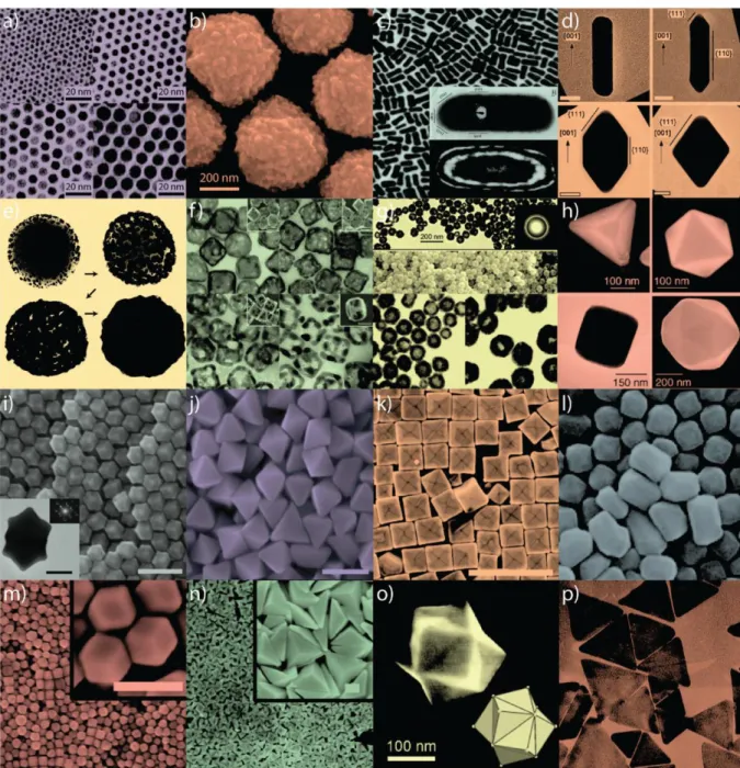 Figure  2.  Gold  nanoparticles  of  various  size  and  shape  with  potential  applications  in  biomedicine
