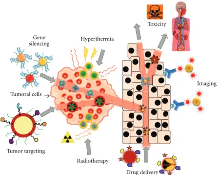 Figure 1: Noble metal NPs for cancer therapy. Once the tumor is directly connected to the main blood circulation system, NPs can exploit several characteristics of the newly formed vasculature and eﬃciently target tumors