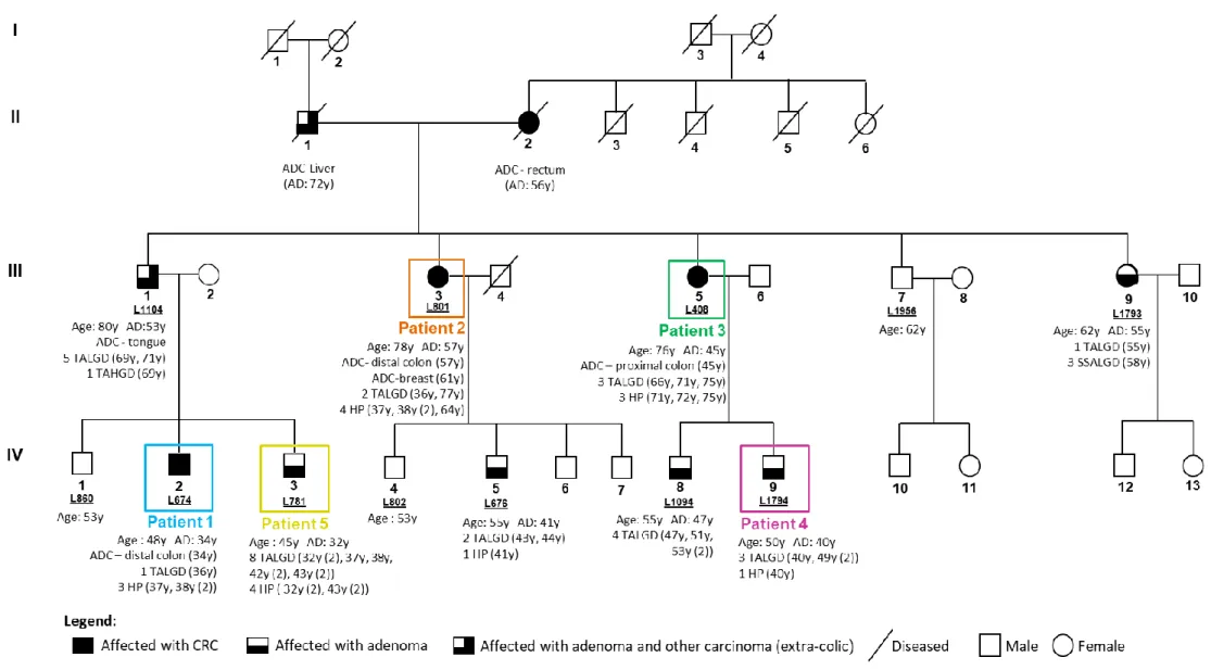Figure 1.4 – Pedigree of the TSG -  family - L56. Patients highlighted in colors were the ones selected for WES analysis
