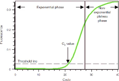 Figure  2.1  –  Graphic  representation  of  a  qPCR  amplification  plot  (From:  Real-Time  PCR  Applications Guide, Bio-Rad Laboratories).