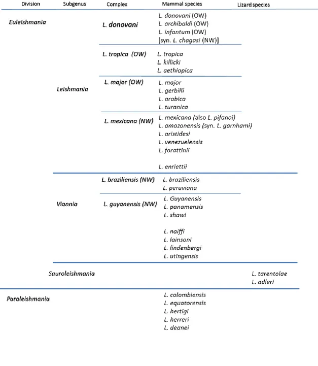 Table 1: Simplified classification of Leishmania species. 