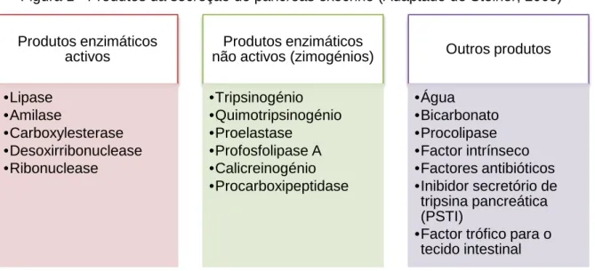 Figura 1 - Produtos da secreção do pâncreas exócrino (Adaptado de Steiner, 2008)  Produtos enzimáticos  activos •Lipase •Amilase •Carboxylesterase •Desoxirribonuclease •Ribonuclease Produtos enzimáticos  não activos (zimogénios)