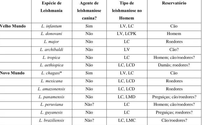 Tabela 4. Principais espécies de Leishmania (Adaptado de Tomás &amp; Romão, 2008) Espécie de Leishmania Agente de leishmaniose canina? Tipo de leishmaniose noHomem Reservatório