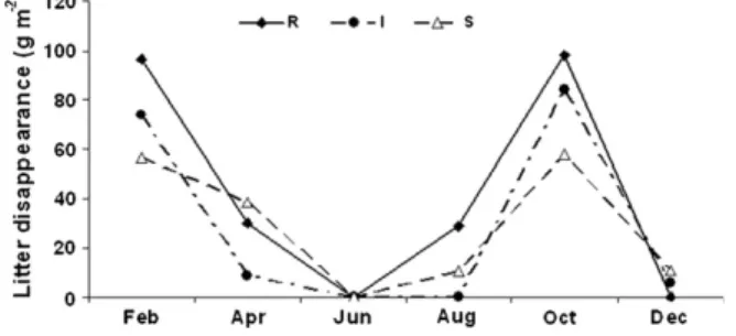 Fig. 3. Annual variation of litter disappearance (g m 2 ) in treatment plots between March 2006 and March 2007