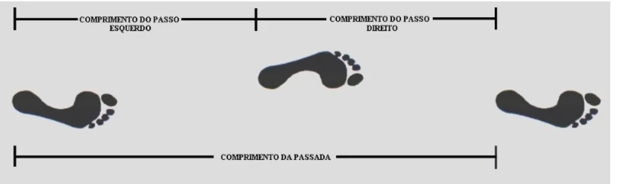 Figura 3 - Comprimento do passo e comprimento da passada  Fonte: modificado de Perry, 2010 (34)