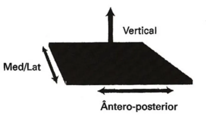 Figura 5-  Disposição da plataforma de força e direção  das forças registradas. 