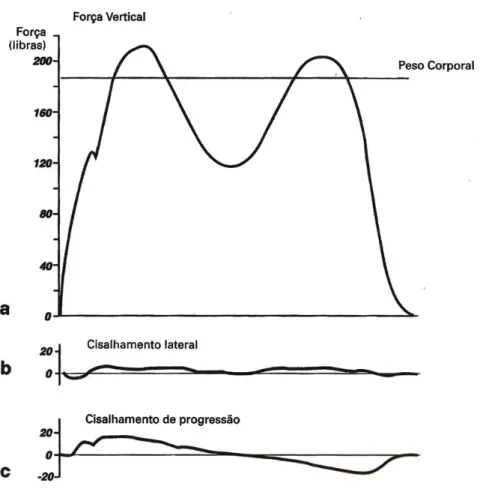 Figura 7- Componentes vertical e de cisalhamento                             Fonte: Perry, 2010 (34)