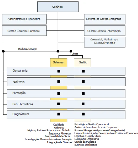 Figura 2 – Organigrama Iberogestão 