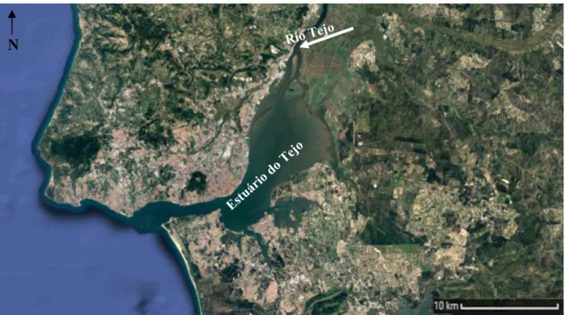 Figura 2.1.  Localização da parte vestibular do Estuário do Tejo (retirado do Google maps).
