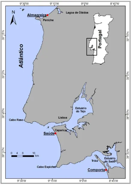 Figura 5. Localização geográfica das praias em estudo. 