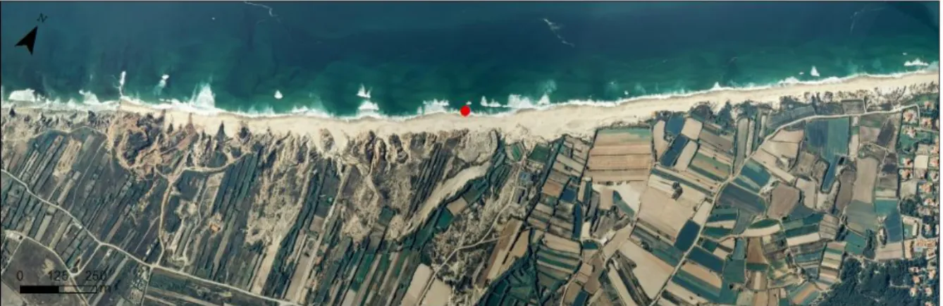 Figura 6. Aspecto do troço costeiro onde se localiza a praia da Almagreira. A etiqueta vermelha corresponde ao local de  aquisição dos dados (ESRI Maps, 2010)