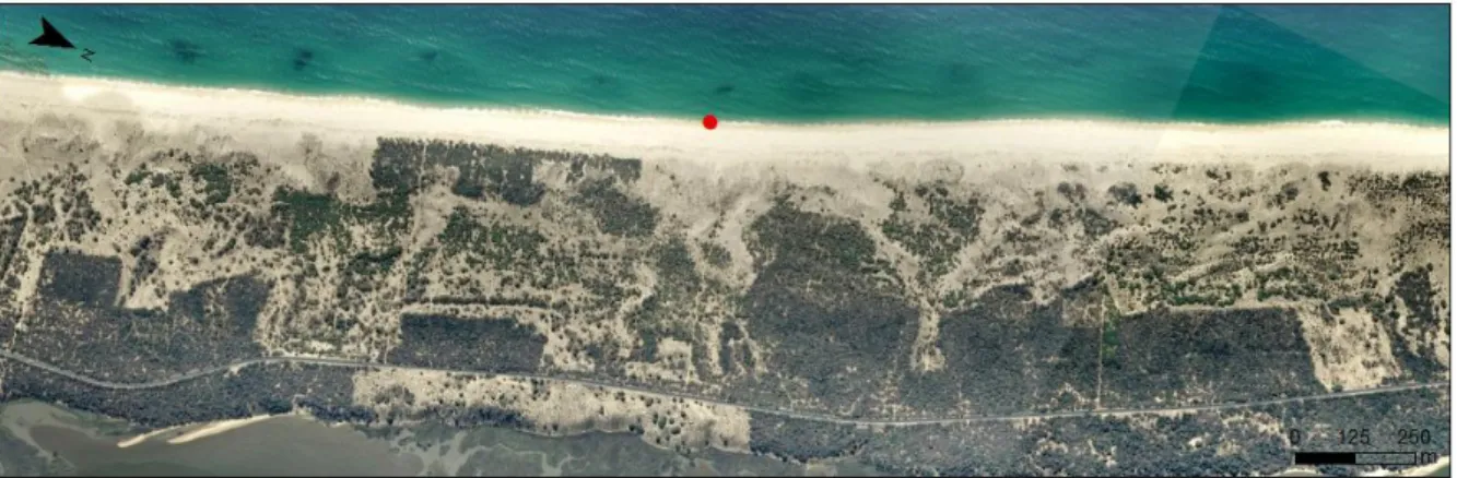 Figura 8. Aspecto do troço costeiro onde se localiza a praia da Comporta. A etiqueta vermelha corresponde ao local de  aquisição dos dados (ESRI Maps, 2010)
