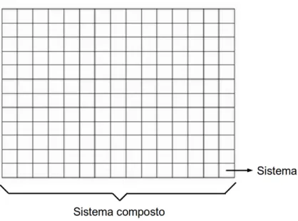 Figura 1.1: Sistema composto de N sistemas menores. Cada sistema pode estar em qualquer um dos W microestados acessíveis.