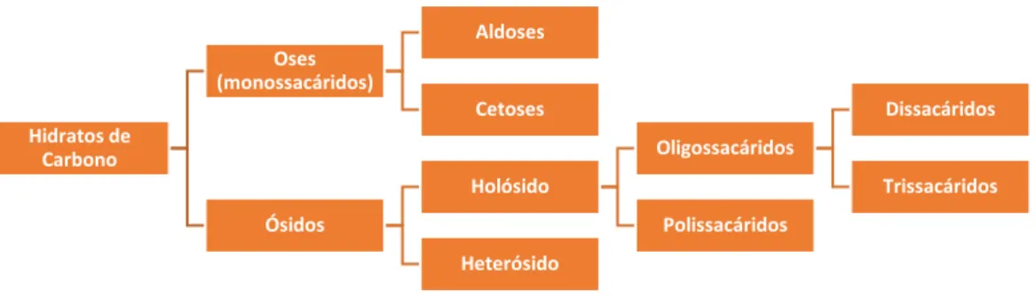 Figura 6 - Classificação de Hidratos de Carbono (adaptado de Gomes de Castro, 2003). 