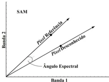 Figura 6 - Representação do algoritmo SAM em um espaço bidimensional. 