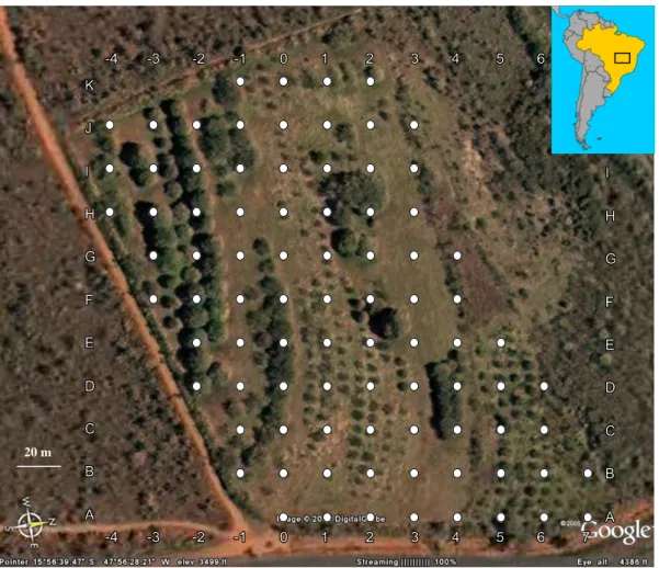 Figura 1.1. Imagem de satélite do grid formado por estacas espaçadas 20 m umas das  outras na área de estudo na Fazenda Água Limpa, de propriedade da Universidade de  Brasília