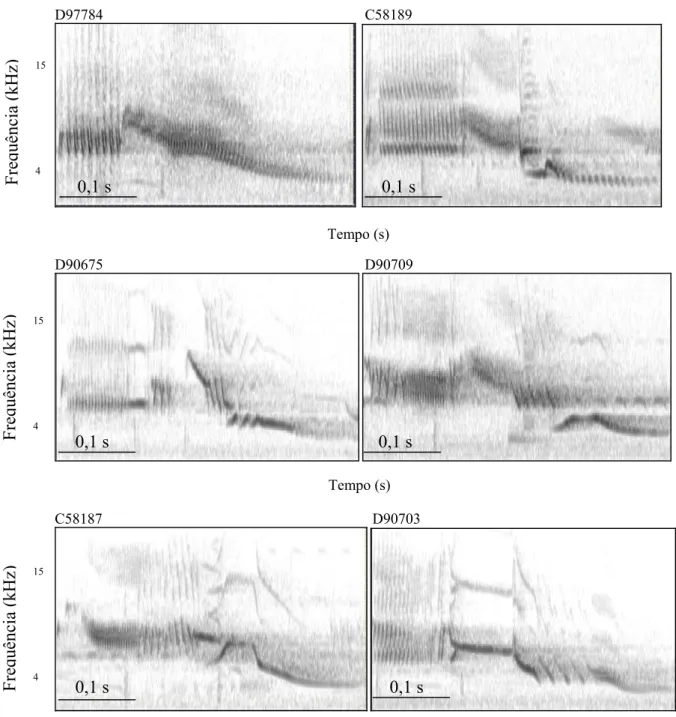 Figura 1.2. Espectrogramas de cantos de oito machos de Volatinia jacarina gravados  em três estações reprodutivas consecutivas, na Fazenda Água Limpa, Brasília, DF