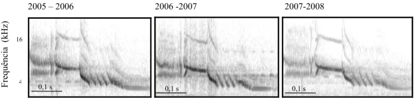Figura 1.6. Espectrogramas do canto de um mesmo macho (D83697) de Volatinia  jacarina  que foi gravado nas três estações reprodutivas na Fazenda Água Limpa,  Brasília, DF