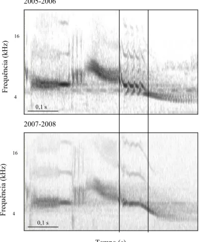 Figura 1.8. Espectrogramas do canto de um mesmo macho  (D83698) que  foi gravado na  primeira e na última estações reprodutivas, Fazenda Água Limpa, Brasília, DF