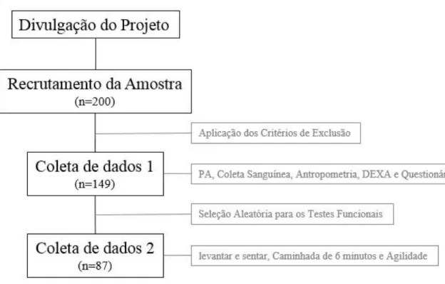 Figura  4.  Fluxograma  das  atividades  de  divulgação  do  projeto,  recrutamento  da  amostra  e  coleta de dados