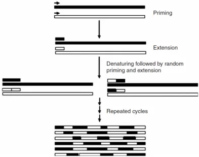 Figure 4. Principle of the Step method [131]. 