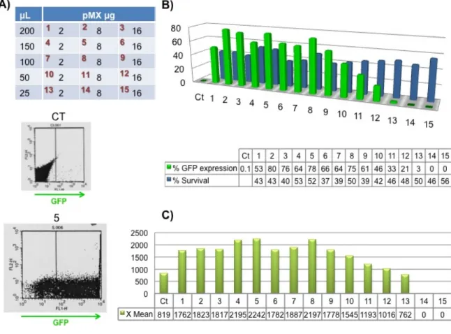 Figure  7.  Total  volume  quantity  of  DNA  used  in  the  mixtures  for  the  transfections