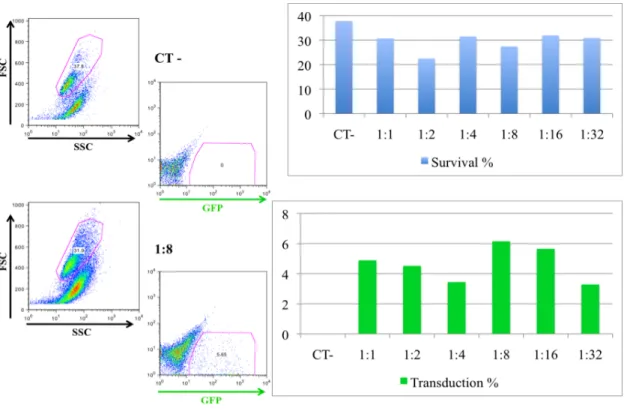 Figure 8. Ratio between pMX retroviral vector and pCL-Ampho helper plasmid. 