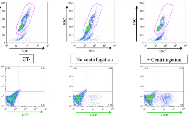 Figure  11.  Experiment  to  address  the  importance  of  the  centrifugation  step  in  the  protocol  for  transduction