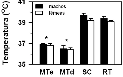 Figura 3. Temperatura corporal dos micos-estrela adultos machos e fêmeas (média ± epm; 