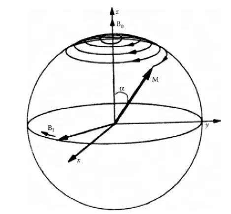 Figura 2 – Trajetória da magnetização M ao ser aplicado um campo de RF, indicado por B 1 