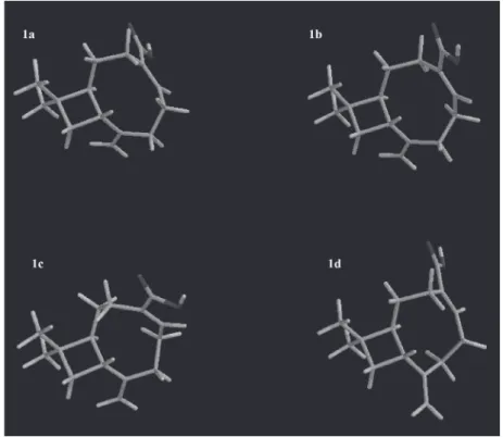 Figure 2. Geometries of conformers from 1a to 1d generated by the conformational search (AM1) and optimized by calculations (DFT/BLYP/6-31G*)