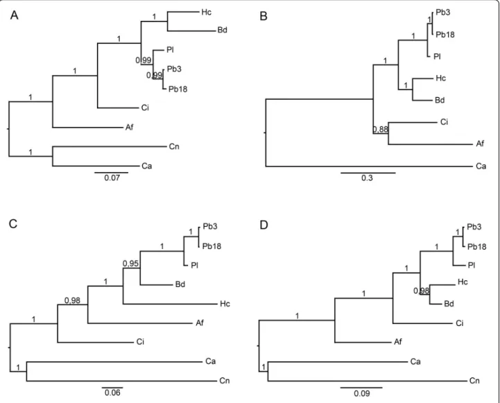 Figure 2a shows that the enzyme TRR1 has 9 helices and 17 sheets. Figure 2b shows that the enzyme KRE2 has 18 helices and 11 sheets.