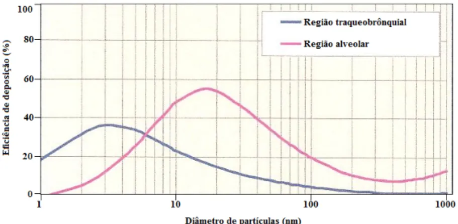 Figura 11 - Curvas de deposição na região traqueobrônquial e alveolar do pulmão (Fonte: ICRP 222 )  Estas curvas podem ser obtidas através de uma parametrização, para o modelo da ICRP 222 , de  deposição  de  partículas  no  pulmão  humano