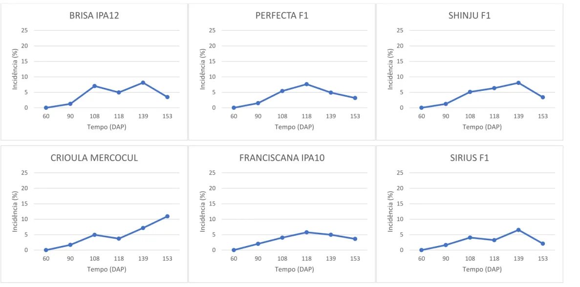 Figura 3-3 -– Progresso da podridão branca, causado por S. cepivorum, nos genótipos de cebola em condição de campo (Rio Paranaíba-MG, 2016)