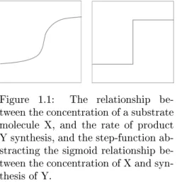 Figure 1.1: The relationship be- be-tween the concentration of a substrate molecule X, and the rate of product Y synthesis, and the step-function  ab-stracting the sigmoid relationship  be-tween the concentration of X and  syn-thesis of Y.