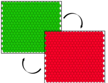Figure 3.5: Steps of the simulation of the system described in 3.2,  start-ing from a state where all cells have both components at zero