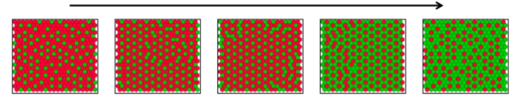 Figure 3.7: Stable patterns obtained for contacting neighbourhoods ( d max = 1 ), with a decrease in Out sensitivity to In , and σ In = 0.5 (at each iteration 50% of the cells fail to communicate their current state)