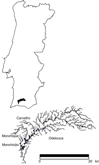 Fig. 1 Map of the Odelouca basin with sampling points.