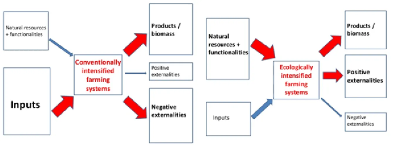 Figure I.1 – Compared intensity of cropping systems (Adapted from M. Griffon 2013) 