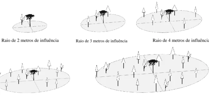 Figura 2- Raios de influência de 2, 3, 4, 5 e 6 metros empregados no cálculo dos índices  semidependentes da distância
