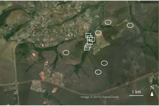 Figura 5. Mapa da Fazenda Água Limpa (reserva de propriedade da  Universidade de Brasília), indicando os locais onde foram realizadas as gravações em  áreas de cerrado (círculos) e de borda de mata (quadrados)