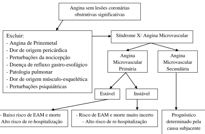 Figura 6 - Diagnóstico diferencial, classificação e prognóstico da angina microvascular (adaptado de  Crea et al