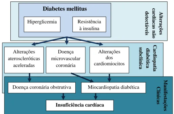 Figura  1  –  Progressão  clínica  da  cardiopatia  diabética.  (adaptado  de  Kibel  et  al