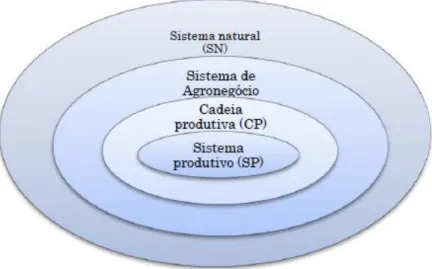 Figura 2 – Modelo de hierarquia de sistemas no ambiente do agronegócio. 