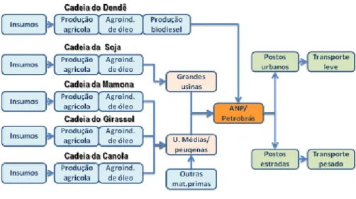 Figura 4 – Modelo do CAI do Biodiesel no Brasil. 