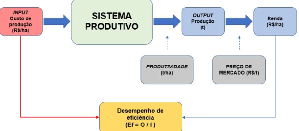 Figura 5 – Modelo geral de mensuração de eficiência de capital no sistema produtivo  agrícola